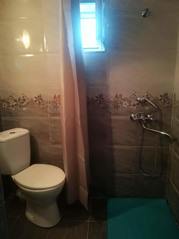Nikoloz Guesthouse Kazbegi Eksteriør bilde